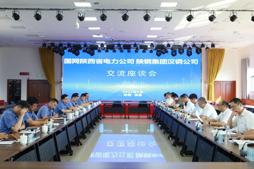 國網陜西省電力有限公司到公司調研座談